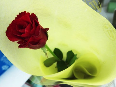 one of the roses from C