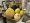 fruits on the table...that remained untouched