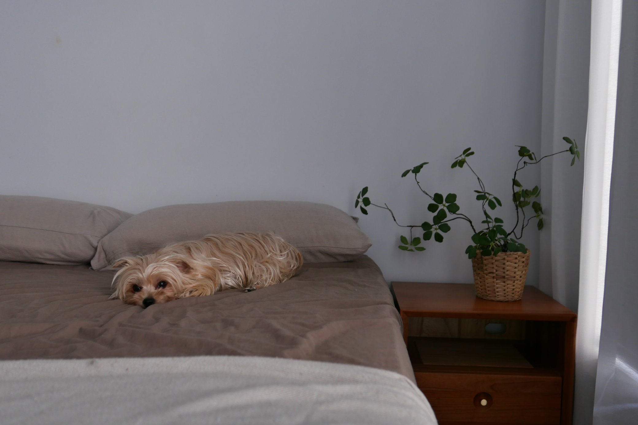 And then, the next: post-purchase what-ifs